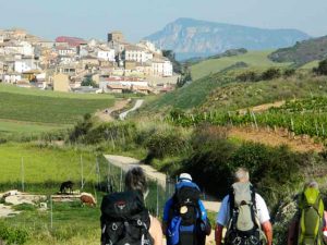 CAMINO FRANCES @ Galicië | Spanje